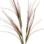 Brome Grass Spray by Hill Interiors