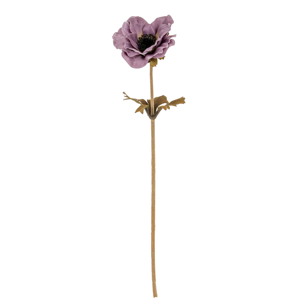 Purple Anemone Stem by Hill Interiors