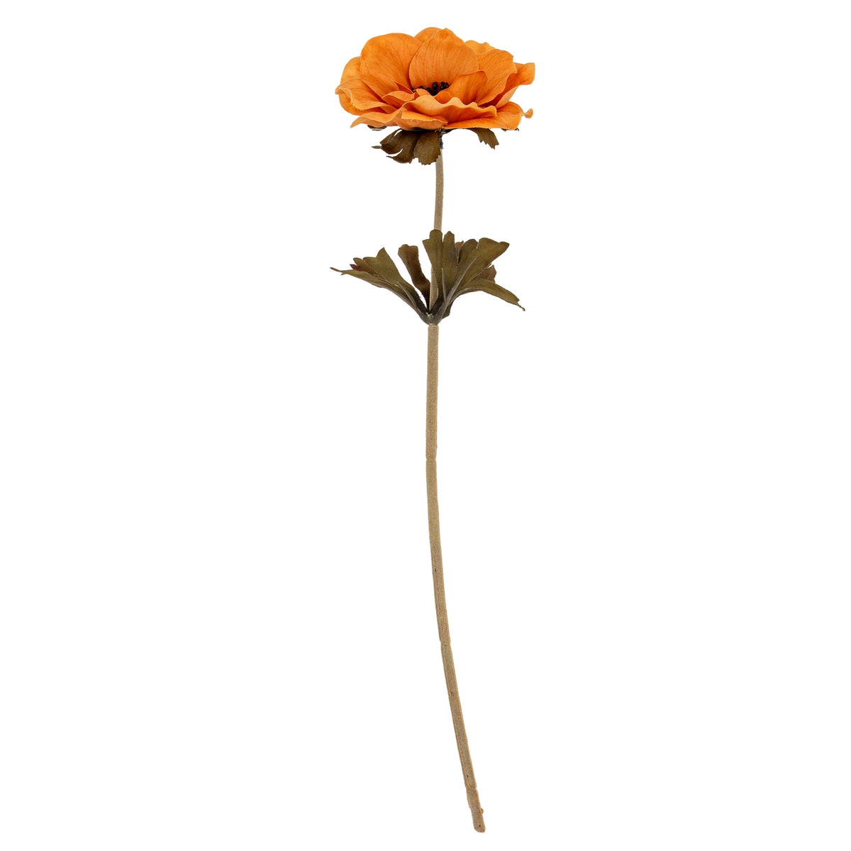Yellow Anemone Stem by Hill Interiors - image 2