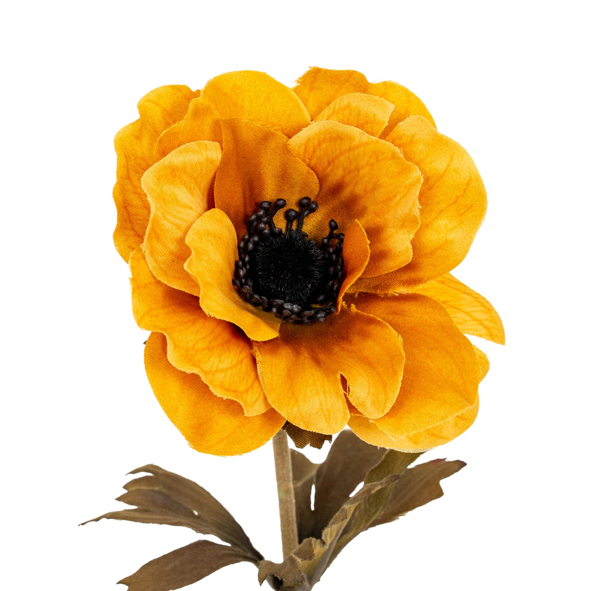 Yellow Anemone Stem by Hill Interiors