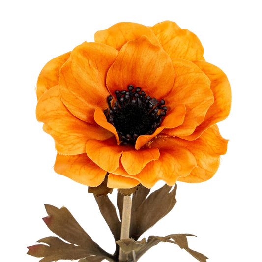 Orange Anemone Stem by Hill Interiors