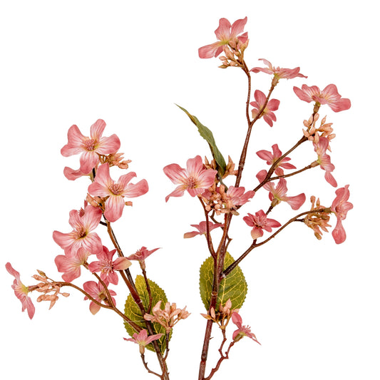 Pink Vernicia Fordii Spray by Hill Interiors
