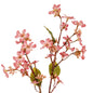Pink Vernicia Fordii Spray by Hill Interiors