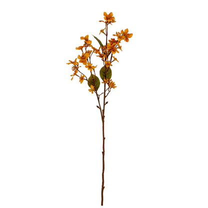 Yellow Vernicia Fordii Spray by SEDERVA - image 2