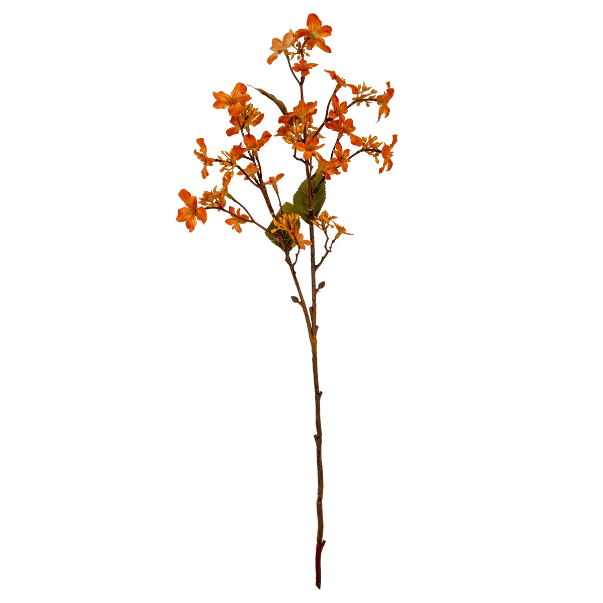 Orange Vernicia Fordii Spray by Hill Interiors - image 2