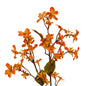 Orange Vernicia Fordii Spray by Hill Interiors