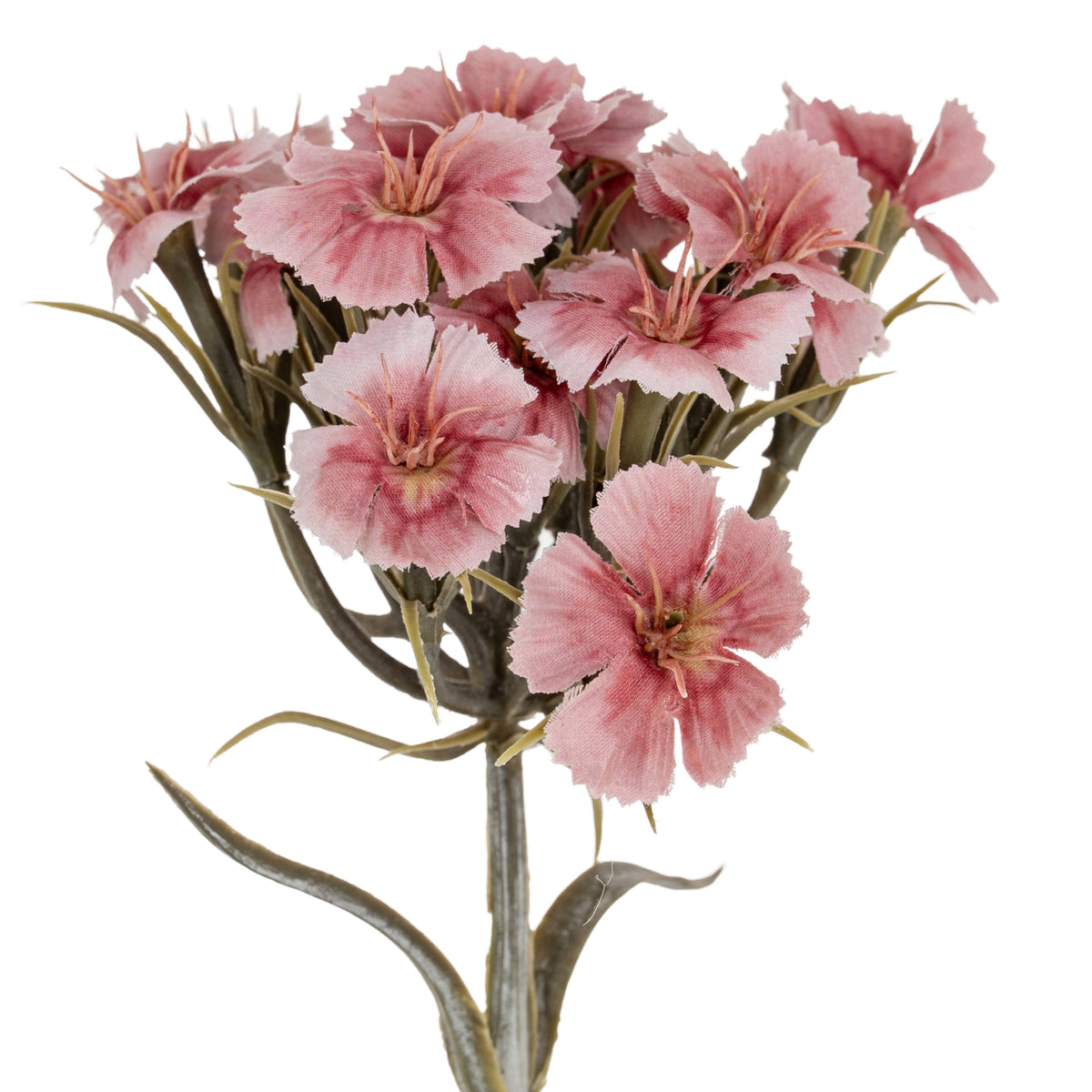 Pink Dianthus Spray by Hill Interiors