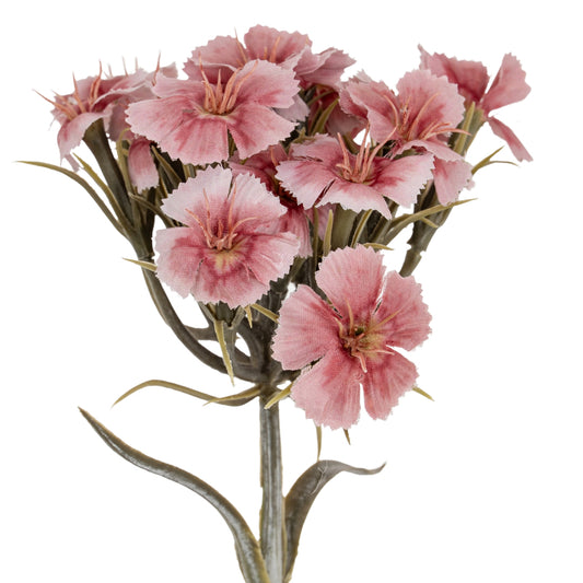 Pink Dianthus Spray by Hill Interiors