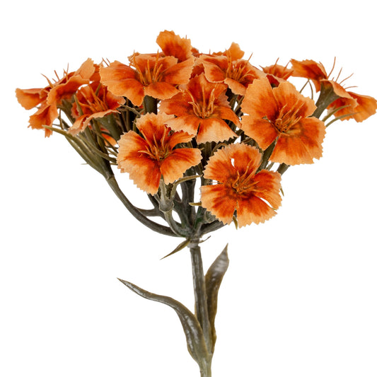Orange Dianthus Spray by Hill Interiors