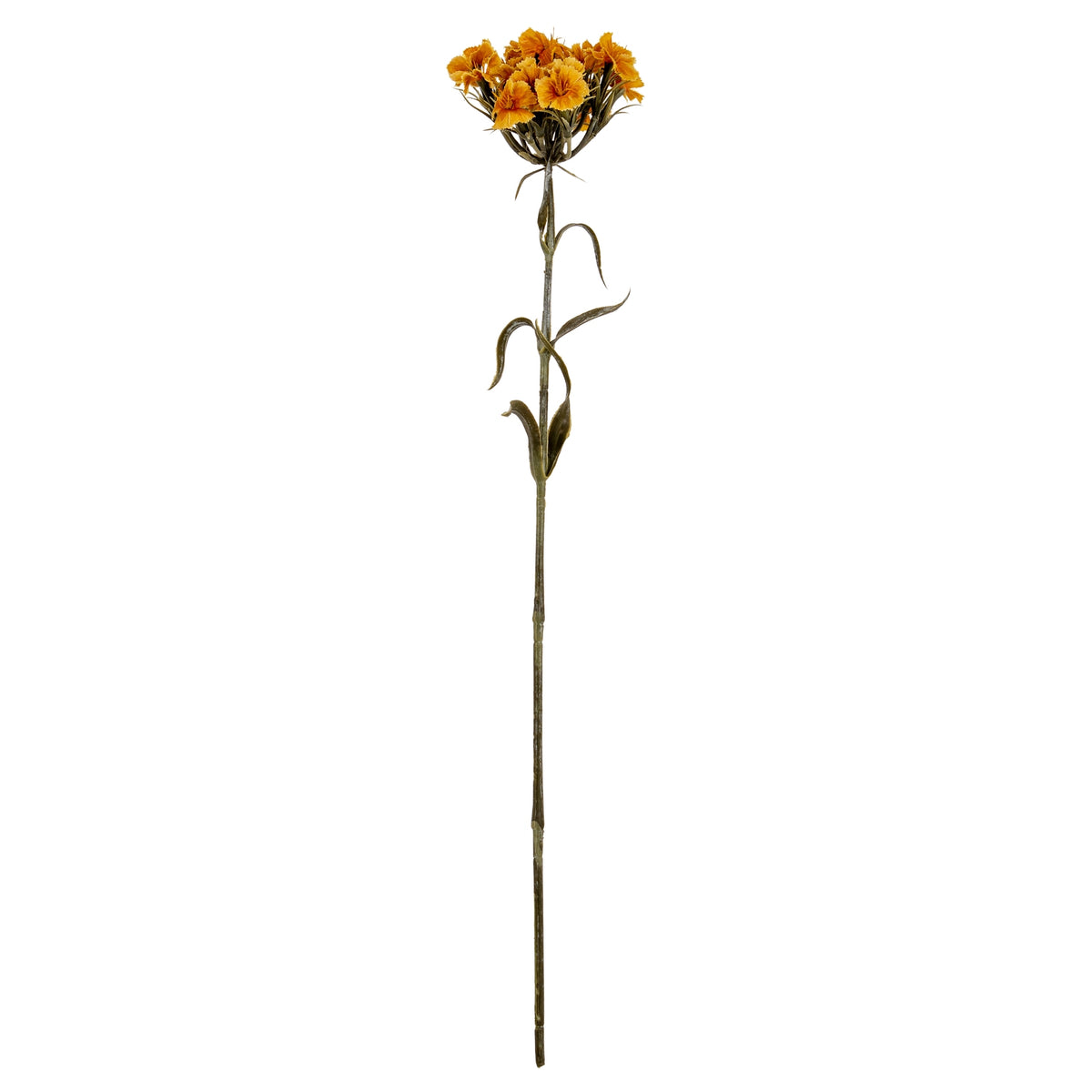 Yellow Dianthus Spray by Hill Interiors - image 2