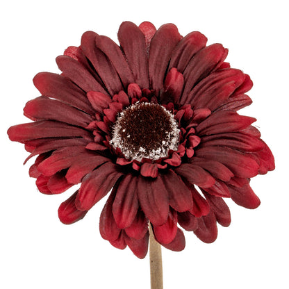 Burgundy Gerbera Stem by Hill Interiors