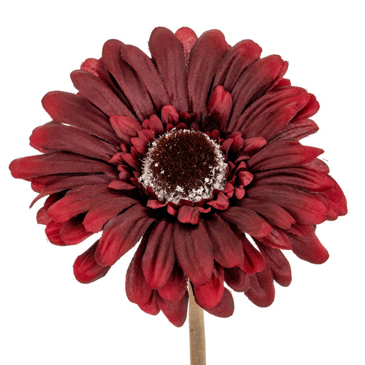 Burgundy Gerbera Stem by Hill Interiors