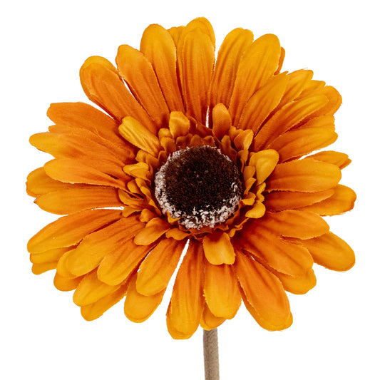 Soft Yellow Gerbera Stem by Hill Interiors