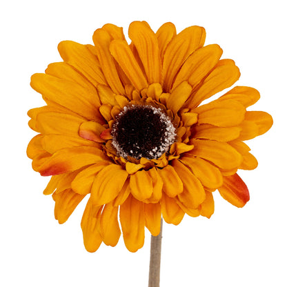 Orange Gerbera Stem by Hill Interiors