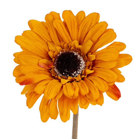 Orange Gerbera Stem by Hill Interiors