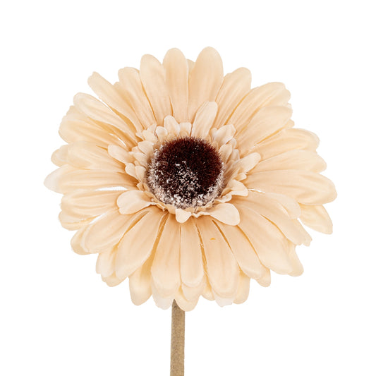 Cream Gerbera Stem by Hill Interiors
