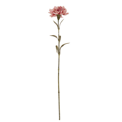 Pink Carnation Stem by Hill Interiors - image 2