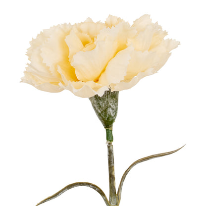 Cream Carnation Stem by Hill Interiors