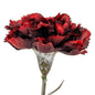 Burgundy Carnation Stem by Hill Interiors