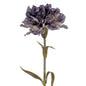 Purple Carnation Stem by Hill Interiors