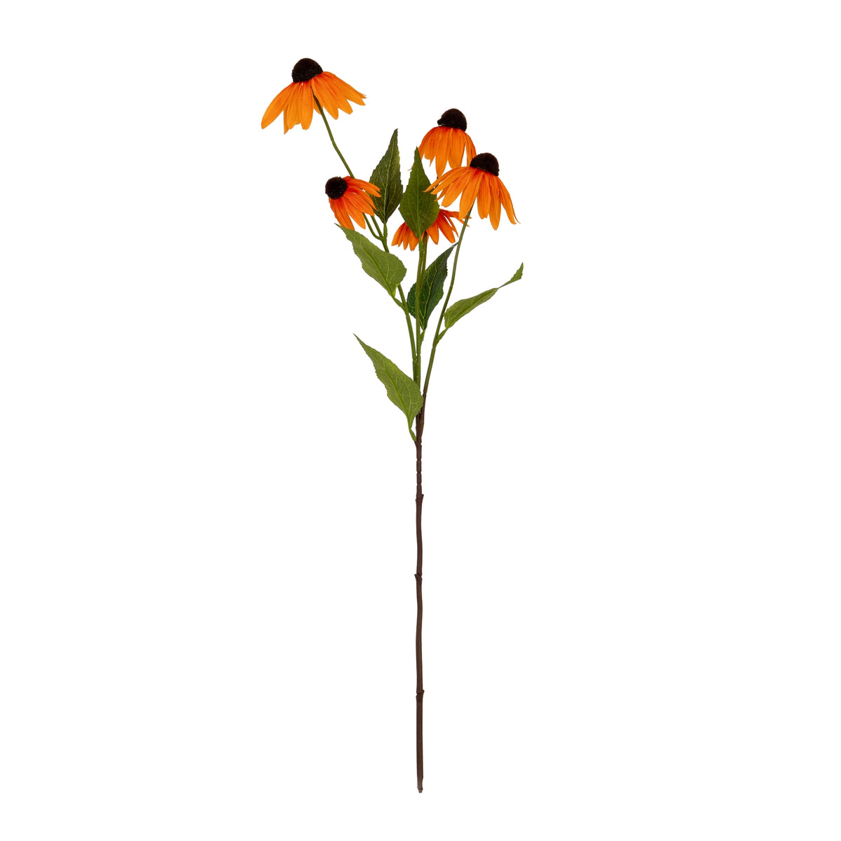Orange Echinacea Spray by Hill Interiors - image 2