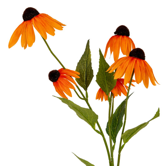 Orange Echinacea Spray by Hill Interiors