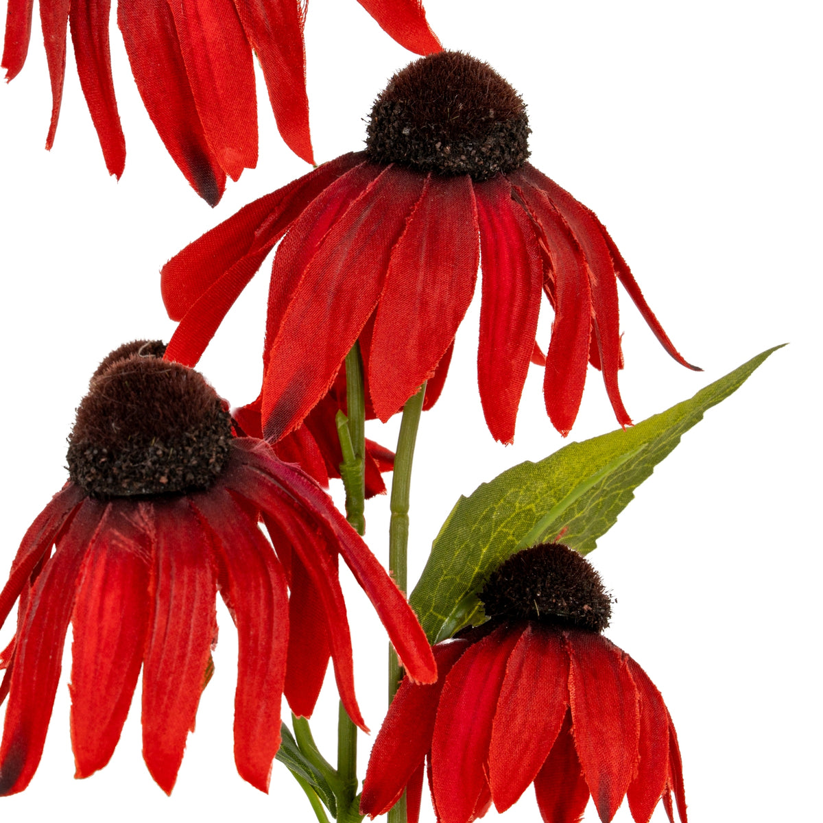 Red Echinacea Spray by Hill Interiors - image 3