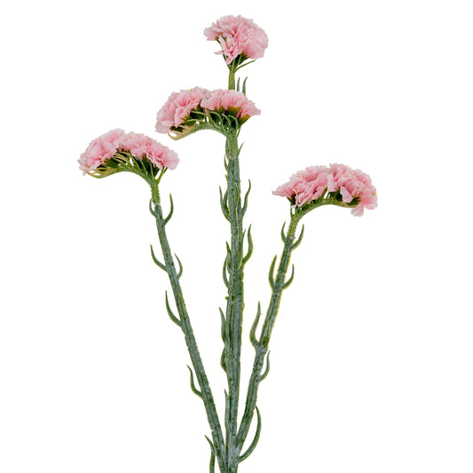 Pink Statis Spray by Hill Interiors