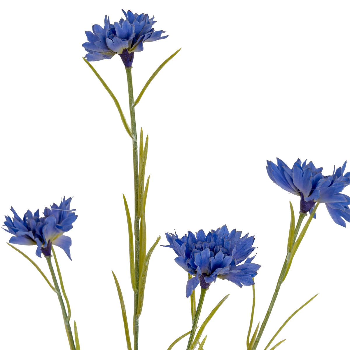 Blue Cornflower Stem by Hill Interiors - image 3