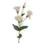 White Lisianthus Spray by Hill Interiors