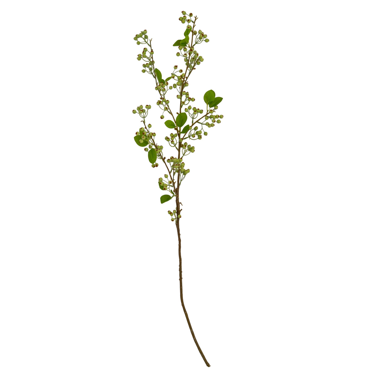 Green Mossberry Large Branch by Hill Interiors - image 2