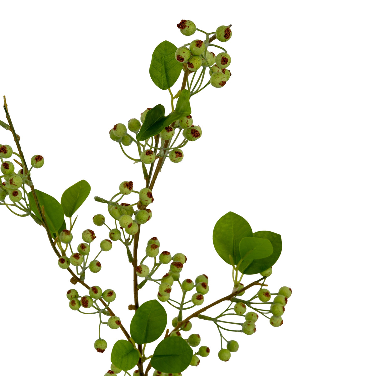 Green Mossberry Large Branch by Hill Interiors - image 3