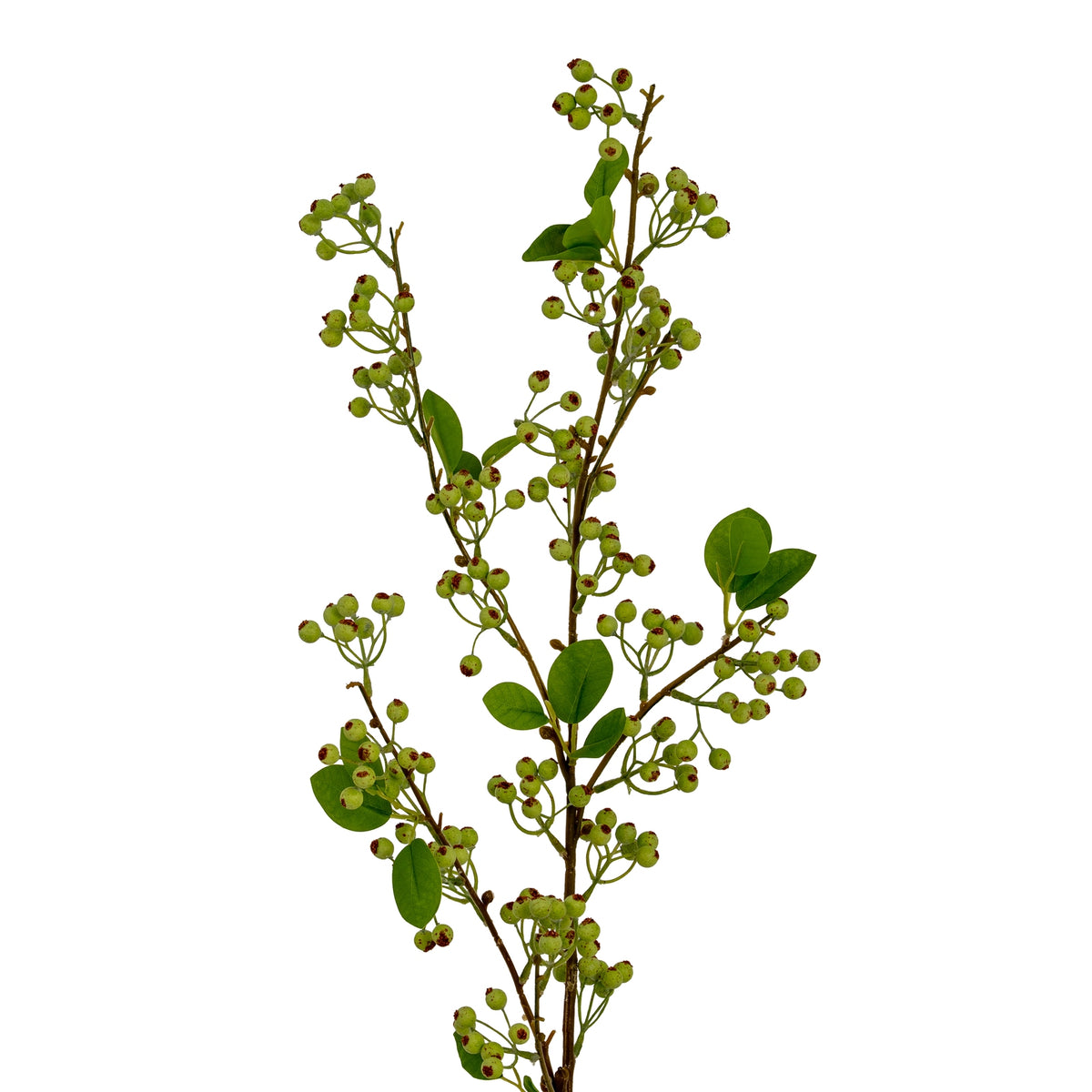 Green Mossberry Large Branch by Hill Interiors