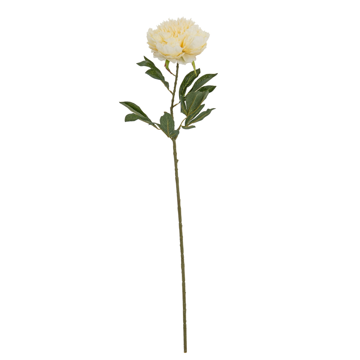 Large Buttermilk Double Peony Stem by Hill Interiors - image 2