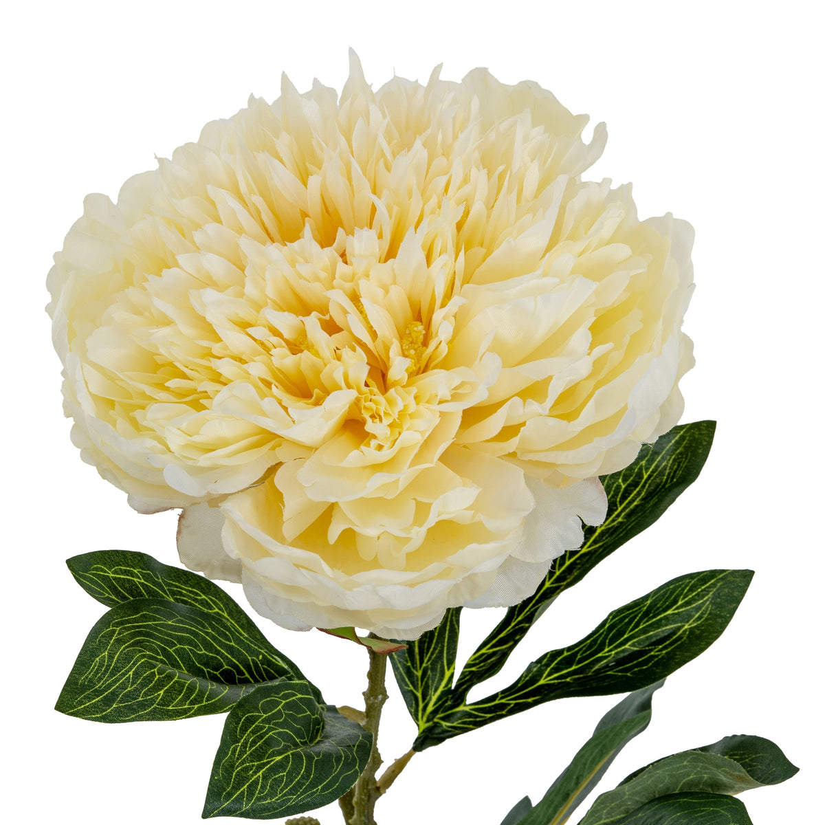 Large Buttermilk Double Peony Stem by Hill Interiors - image 3
