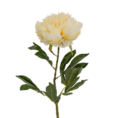 Large Buttermilk Double Peony Stem by Hill Interiors