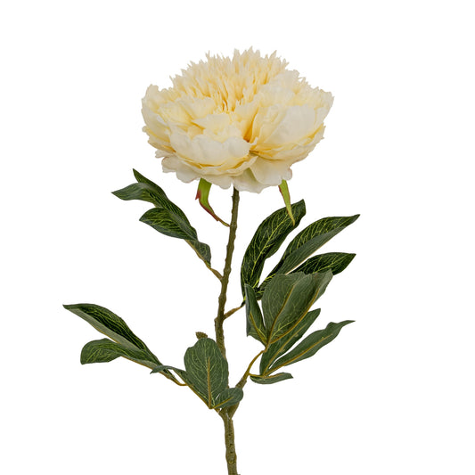 Large Buttermilk Double Peony Stem by Hill Interiors