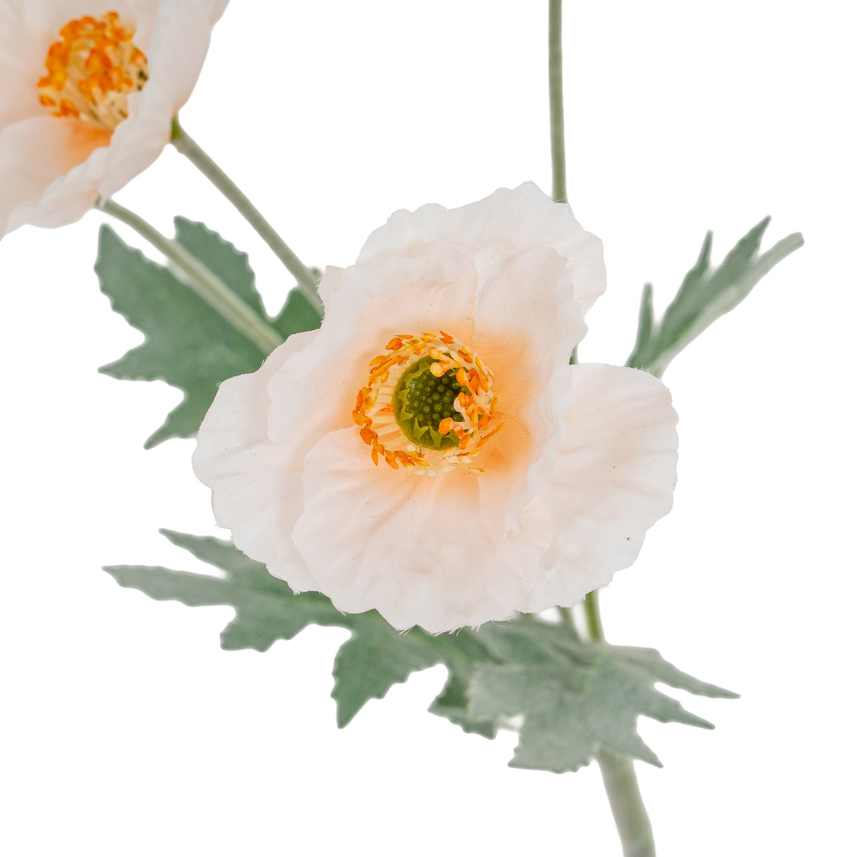 Cream Papaver Poppy Spray by Hill Interiors - image 3
