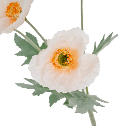 Cream Papaver Poppy Spray by Hill Interiors - image 3