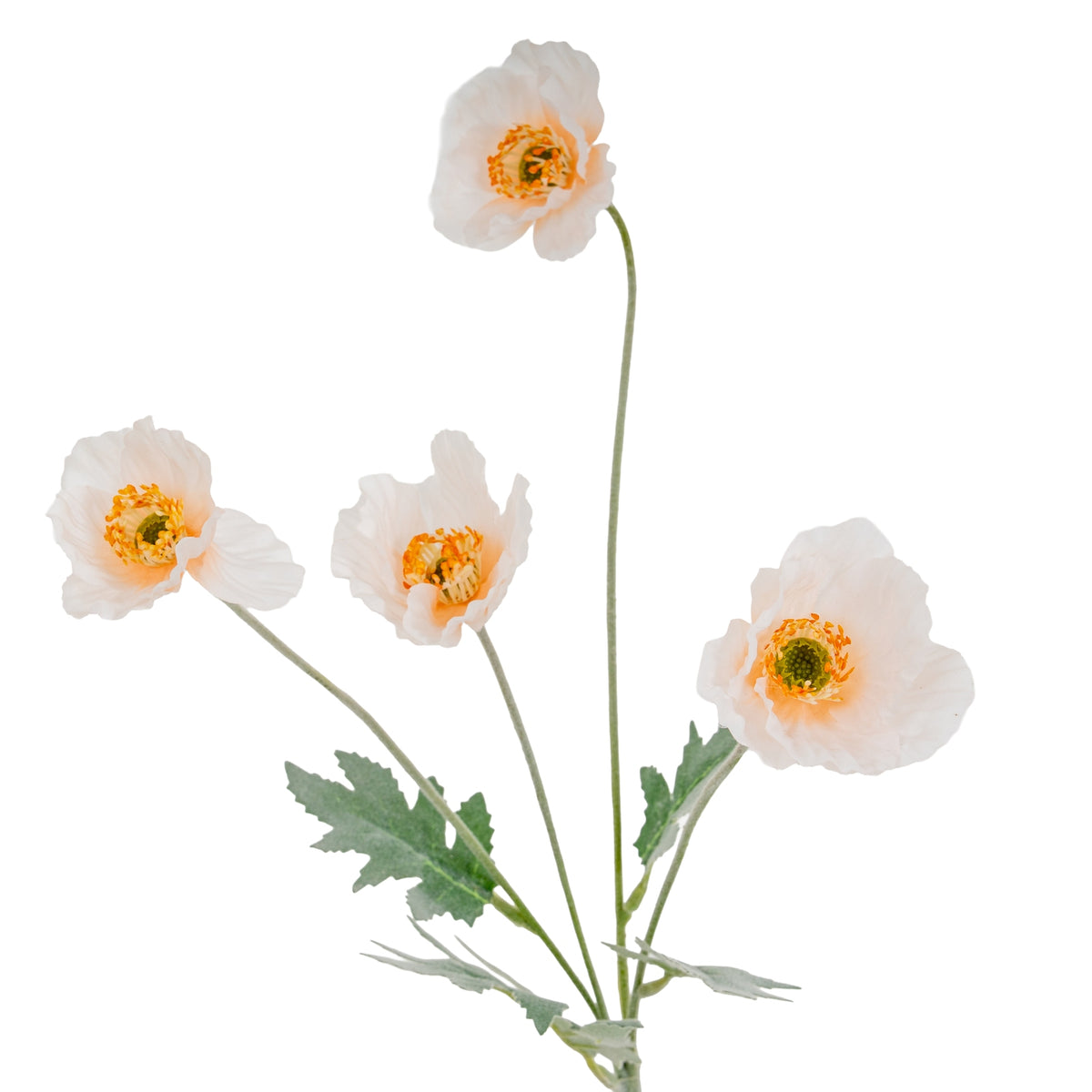 Cream Papaver Poppy Spray by Hill Interiors