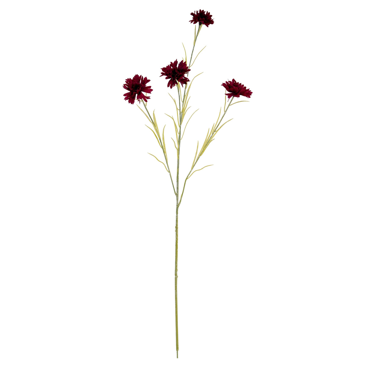 Burgundy Cornflower Stem by Hill Interiors - image 2
