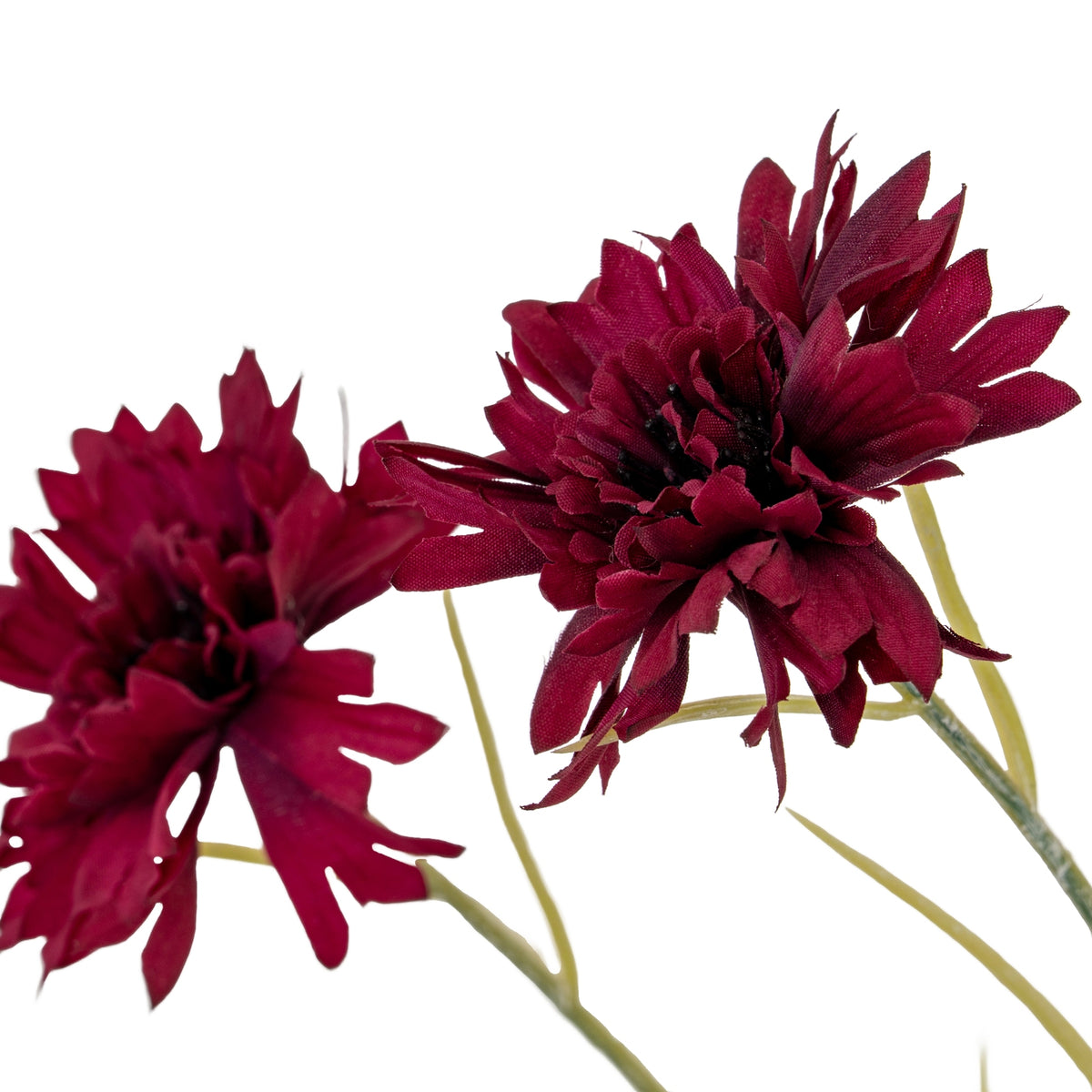 Burgundy Cornflower Stem by Hill Interiors - image 3