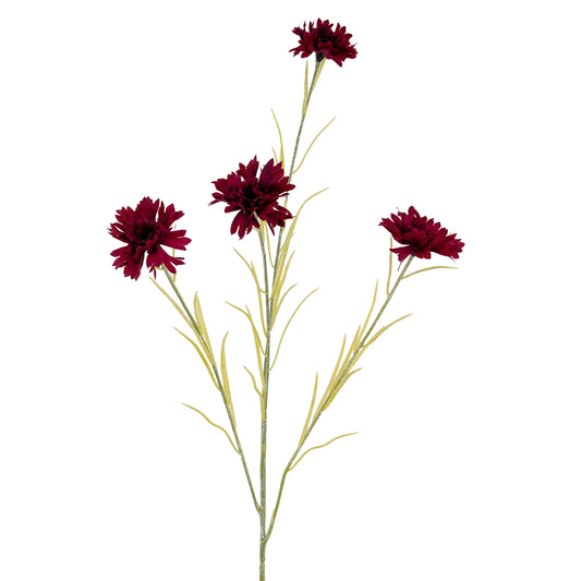 Burgundy Cornflower Stem by Hill Interiors