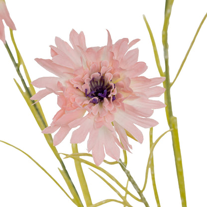 Pink Cornflower Stem by Hill Interiors - image 3