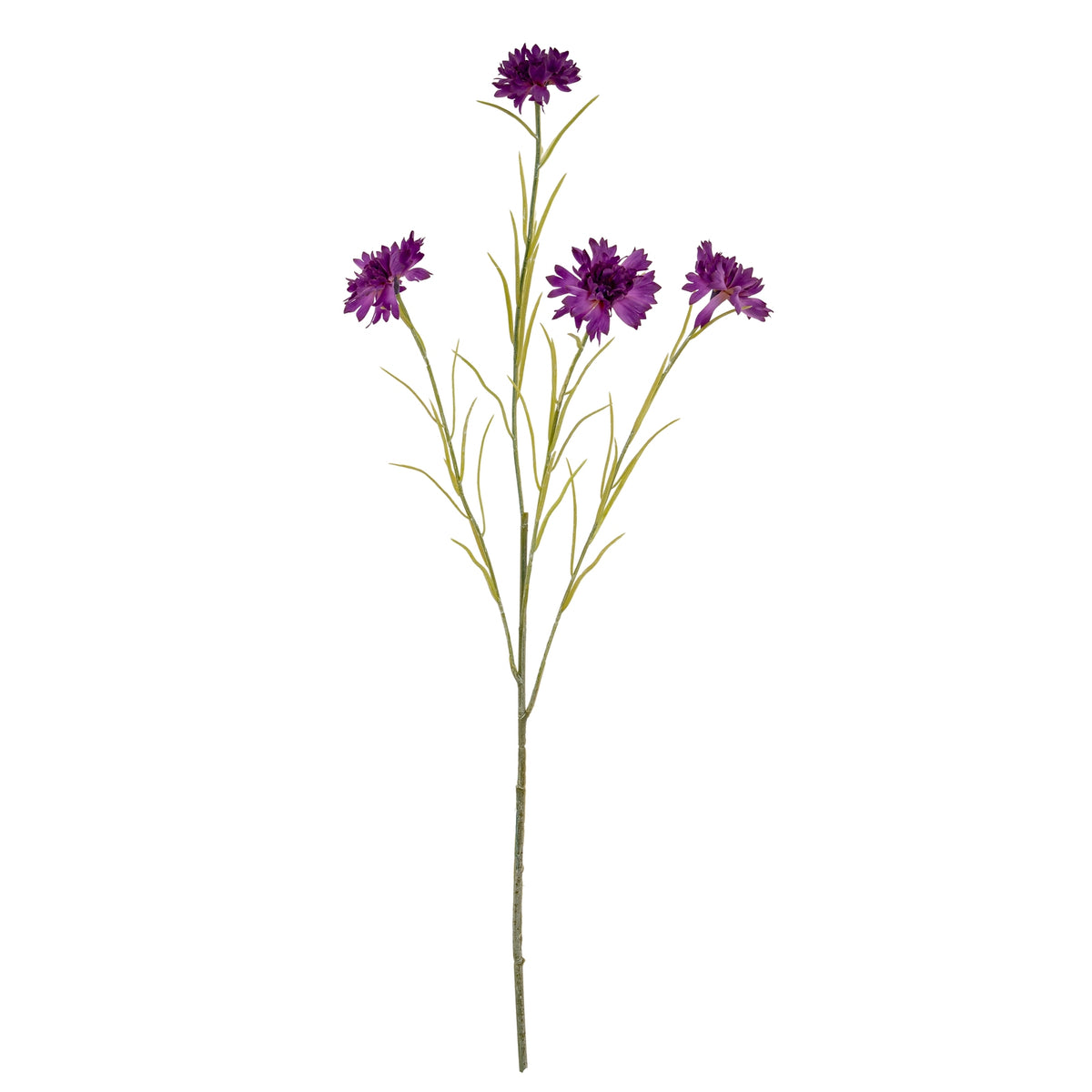Purple Cornflower Stem by SEDERVA - image 2