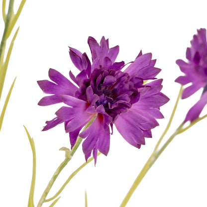 Purple Cornflower Stem by SEDERVA - image 3