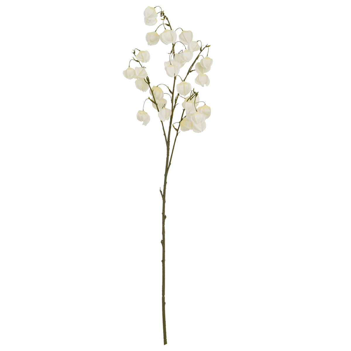 White Physalis Spray by SEDERVA - image 2