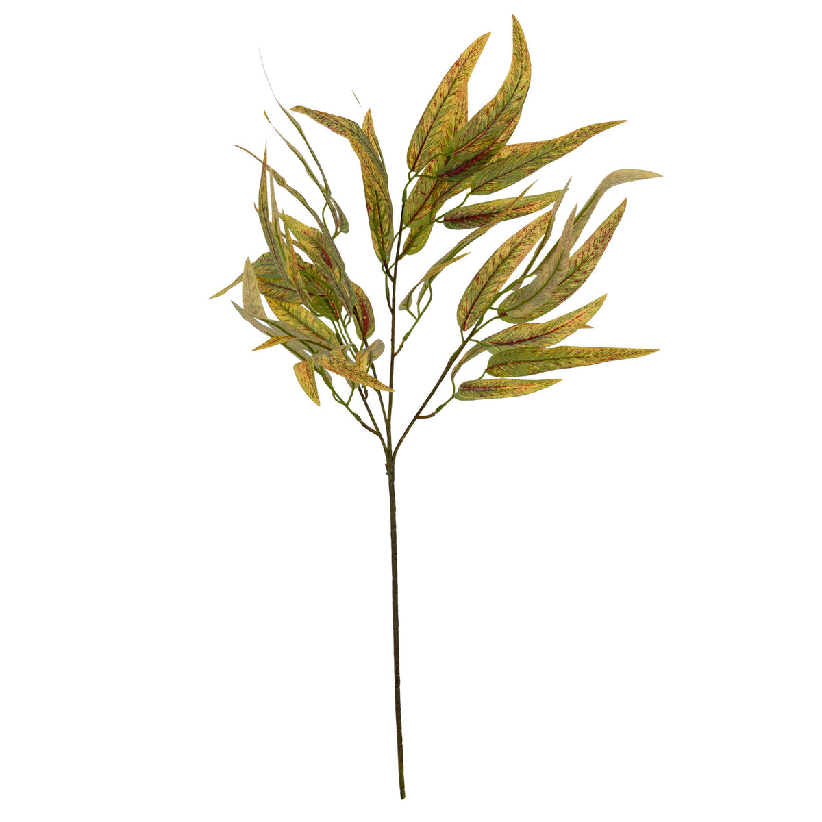 Variegated Long Leaf Eucalyptus Spray by Hill Interiors - image 3