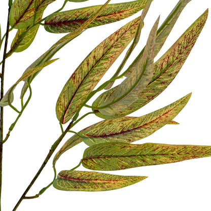 Variegated Long Leaf Eucalyptus Spray by Hill Interiors - image 4