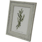 Alba Photo Frame 5X7 by Hill Interiors
